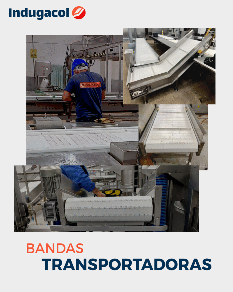 Banda transportadora en acero inoxidable para alimentos con guía lateral y raspador sanitario.